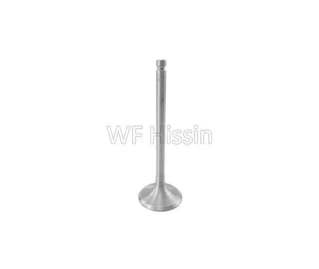 Intake Valve 490BT C490BPG