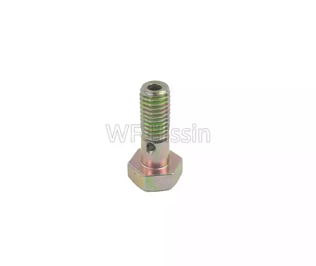 Lubrication hose hollow bolt