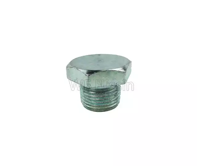 Magnetic plug M20 x 1.5