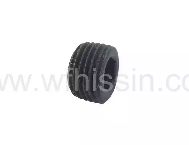 Plug R1/8 C490BPG Forklift