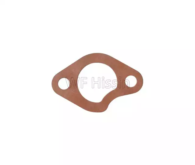 Water pipe adaptor gasket 490BT