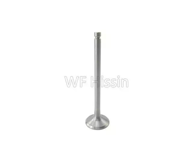 Exhaust Valve 490BT C490BPG
